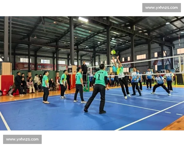 气排球比赛站位分析与战术布局策略图解